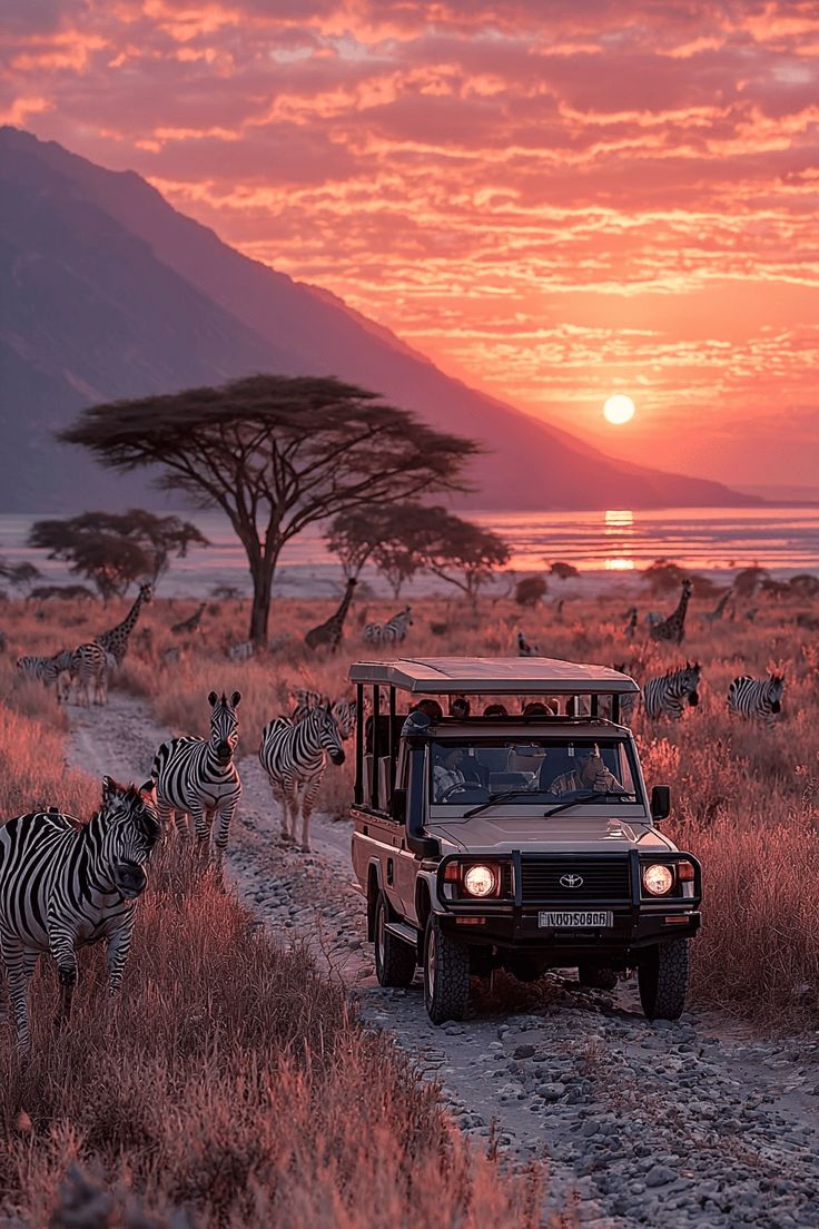 Institutional Visits &amp; Engagements